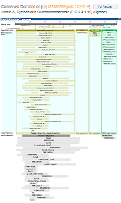 Thumbnail image of a CD-Search results full display, which shows all hits on each region of the query sequence (1CYG_A, Cyclodextrin Glucanotransferase).  Click on image to jump to a larger, annotated version in this help document.