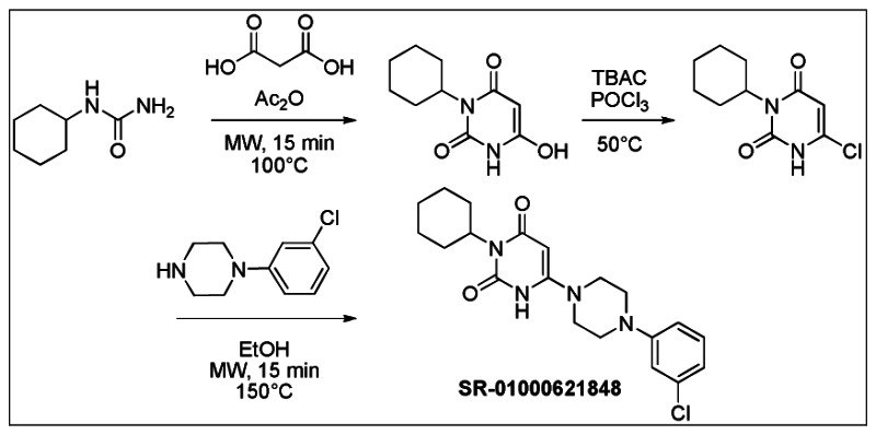 Figure 2. Synthesis of SR-01000621848 (Probe 1: ML180) (CID 3238389).