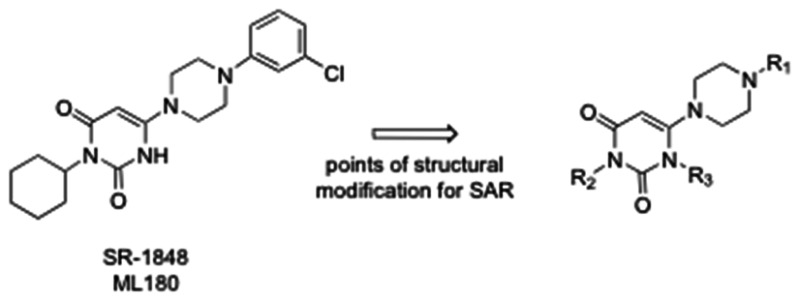 Figure 5. Points of Structural Modification for SAR.