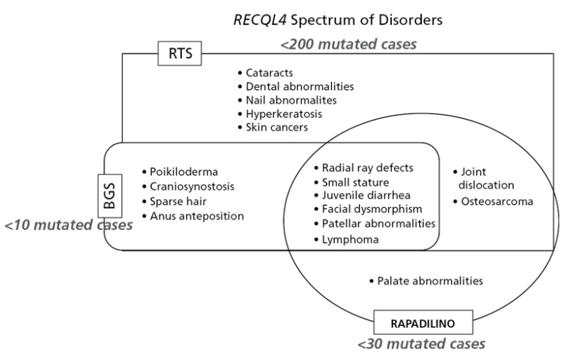 Figure 1. . Diagram showing overlapping and unique clinical features of the RECQL4-associated disorders.