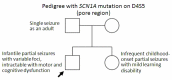 Figure 1. . Findings in a family illustrating variable expressivity among individuals with the same pathogenic variant.