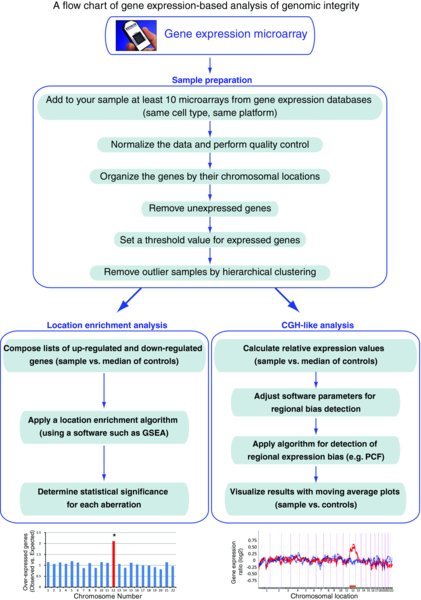 Figure 3. A flow chart of gene expression-based analysis of genomic integrity.