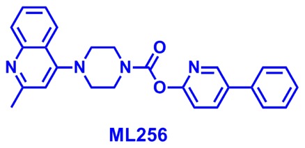 probe-ML256