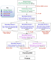 Figure 5. Critical Path for Probe Development.