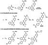 Figure 9. Synthetic route for probe and analog generation.