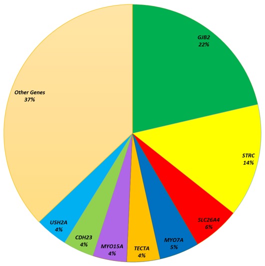 Figure 2. . In an unbiased screen of 2434 persons who underwent comprehensive genetic testing for hearing loss, Pendred syndrome / nonsyndromic enlarged vestibular aqueduct (PDS/NSEVA) caused by biallelic pathogenic variants in SLC26A4 was the third most common diagnosis of 79 different genetic diagnoses, comprising 6% of the total [Sloan-Heggen et al 2016; Smith et al, unpublished data].