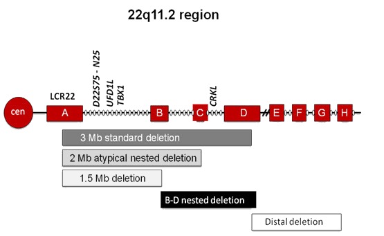 Figure 1. . The majority of affected individuals (85%) have a 2.