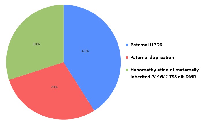 Figure 1. . Three different genetic mechanisms cause 6q24-TNDM: paternal uniparental disomy of chromosome 6 (UPD6) (41%); duplication of 6q24 on the paternal allele (29%); and hypomethylation of the maternally inherited PLAGL1 TSS alt-DMR (30%).