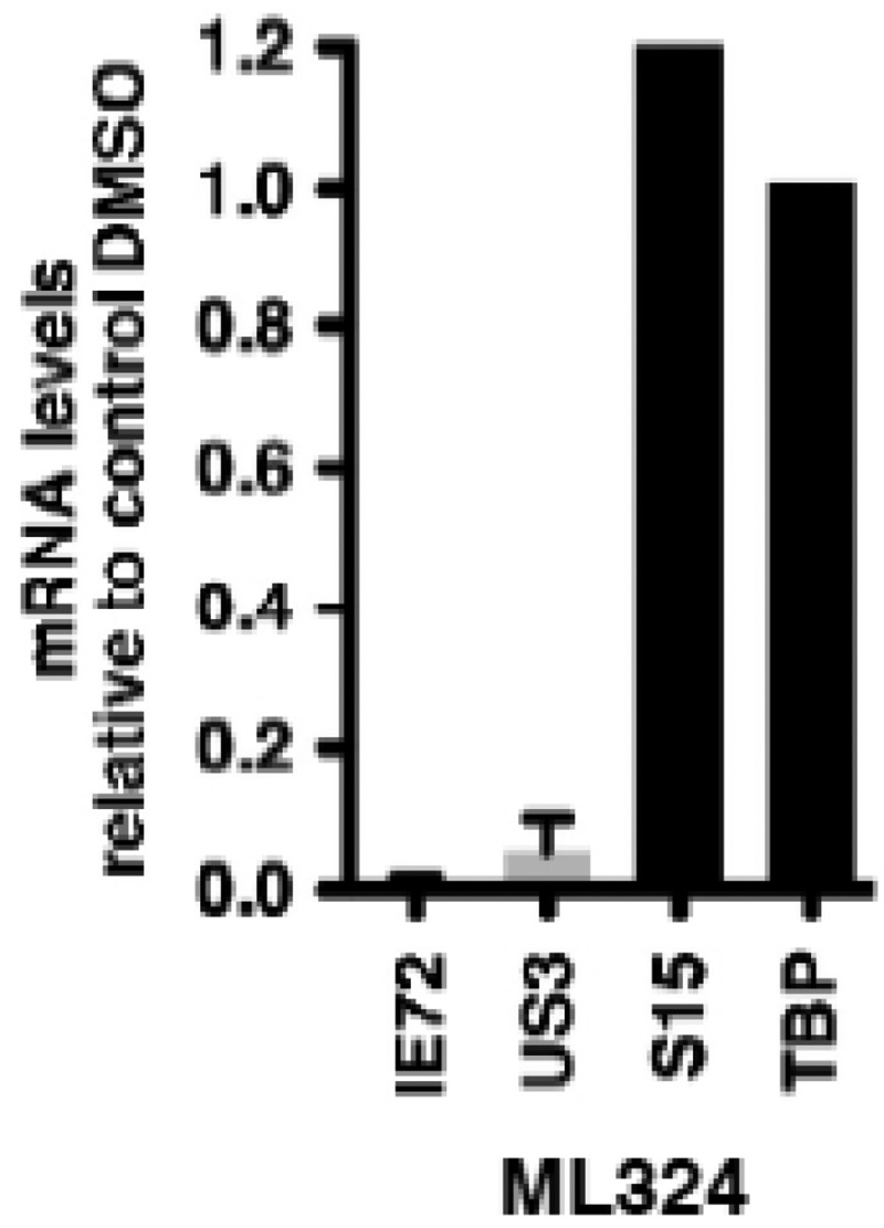 Figure 15. MRC-5 cells were treated with DMSO or 50 mM ML324 for 3 hr, followed by infection with hCMV (0.1 pfu/cell) for 5 hr.