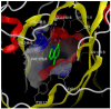 Figure 18. Co-crystallization of compound 1 with JMJD2A (PDB: 3NJY).