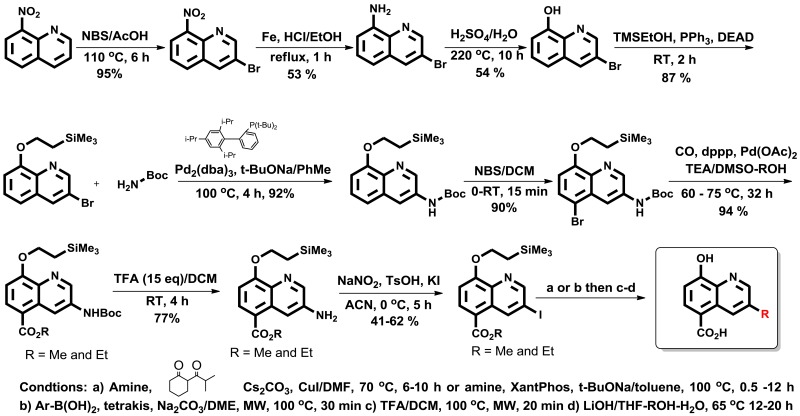 Scheme 1. Synthetic route for analogs containing 5-COOH.