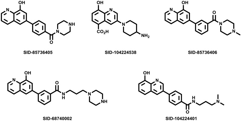 Figure 4. Structures of the five analogs that have been submitted to the MLSMR.