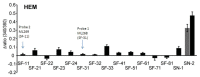 Figure 9. Lack of effect of probes on human primary skin melanocytes (100 μM).