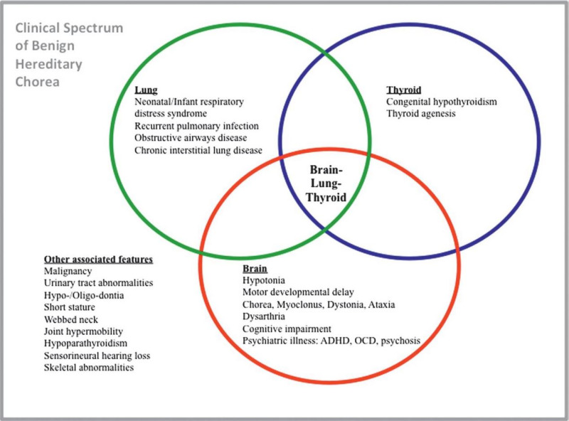 Figure 1. . Phenotypic spectrum of NKX2-1-related disorders.