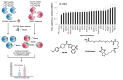 Figure 3.6-3. Selectivity analysis of ML349 (SID 160654496) by in-depth LC-MS/MS ABPP-SILAC profiling of murine T-cell proteome shows high selectivity for LYPLA2.