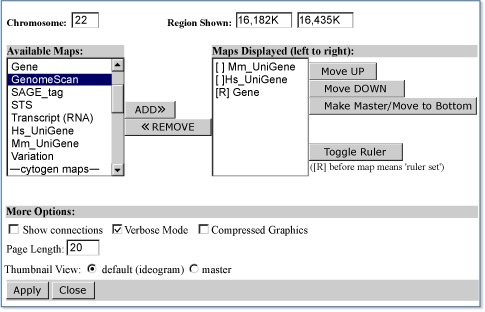 Figure 10. Representative Maps&Options window.