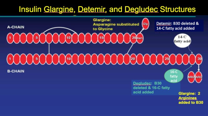 Figure 3. . Insulin Glargine and Detemir Structures.