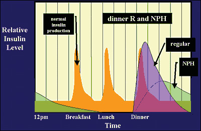 Figure 9. . NPH and Regular Insulin at Dinner.