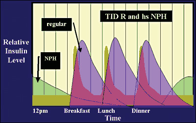 Figure 12. . Bedtime NPH and Regular Insulin with Meals.