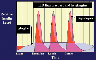 Figure 13. . Bedtime Glargine Insulin and Lispro/Aspart with Meals.
