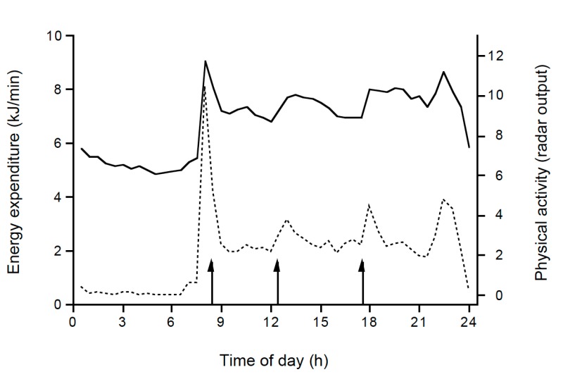 Figure 2. . Average energy expenditure (upper line) and physical activity (lower line) as measured over a 24-h interval in a respiration chamber.