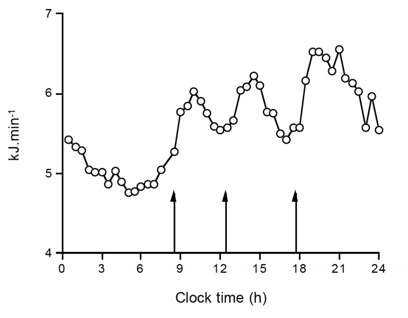 Figure 4. . The mean pattern of resting energy expenditure throughout the day, where arrows denote meal times (adapted from reference (8)).