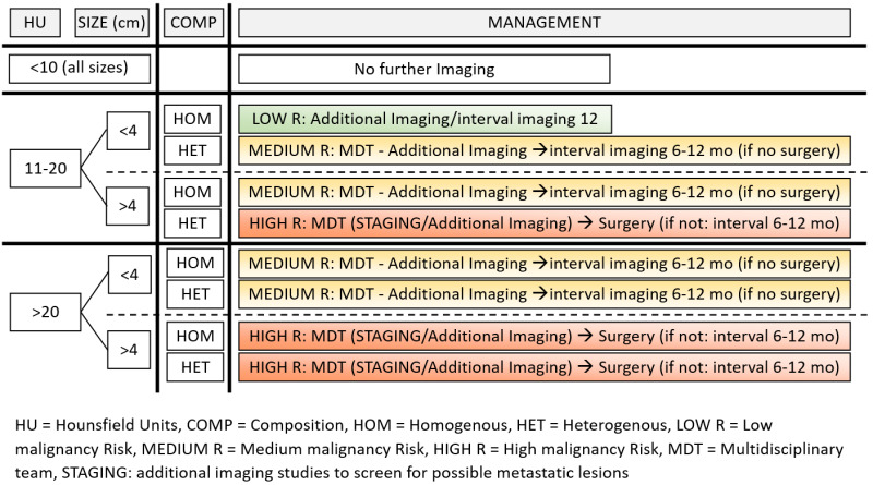 Figure 4. . Proposed algorithm for diagnosis and management of AIs (imaging evaluation).