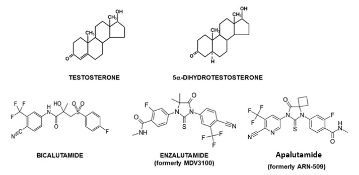 Figure 1. . Structure of testosterone and 5α-dihydrotestosterone and anti-androgens.