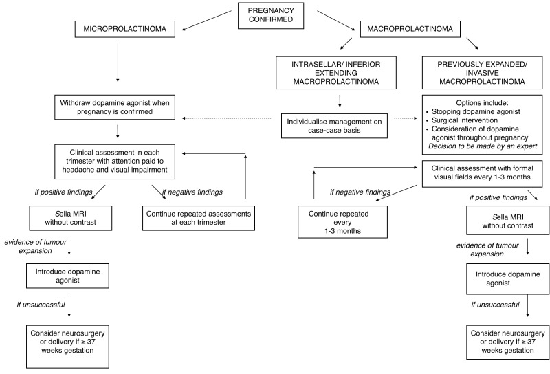 Figure 1. . Schematic for the Management of Both Micro- and Macroprolactinomas During pregnancy.