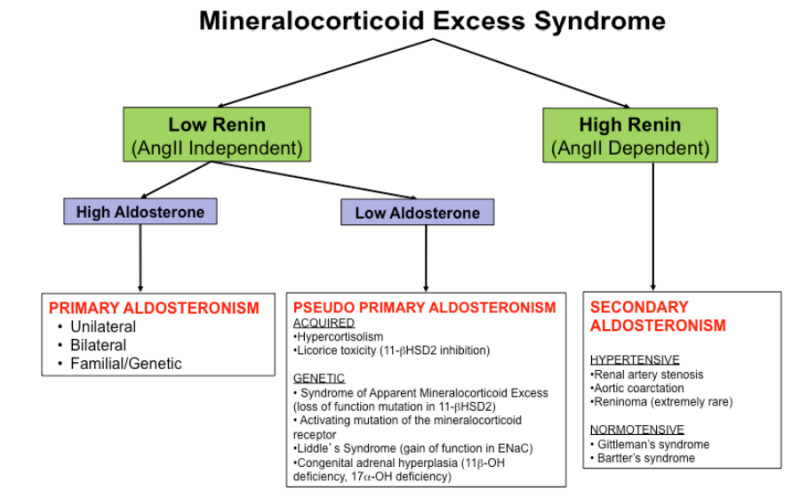 Figure 3. . The Approach to Mineralocorticoid Excess Syndromes.