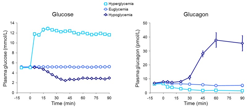Figure 3. . Glucagon concentrations in response to hypoglycemia, euglycemia, and hyperglycemia.