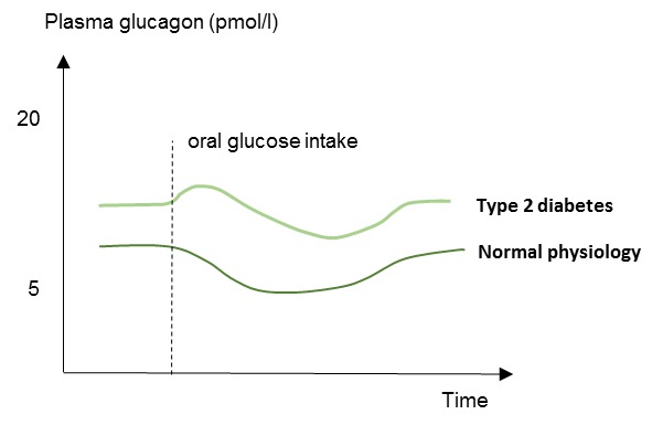Figure 7. . Schematic illustration of plasma glucagon concentrations in patients with type 2 diabetes and in normal physiology (healthy subjects).