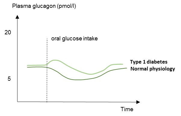 Figure 8. . Schematic illustration of plasma glucagon concentrations in patients with type 1 diabetes and in normal physiology (healthy subjects).