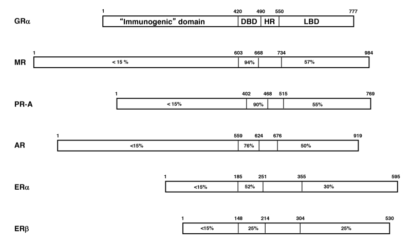 Figure 1. . Steroid hormone receptors (SRs: class I receptors) and their homologies expressed as percent identity to the protein sequence of human GR.