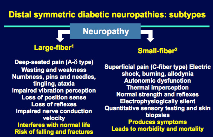 Figure 3. . Clinical presentation of small and large fiber neuropathies.