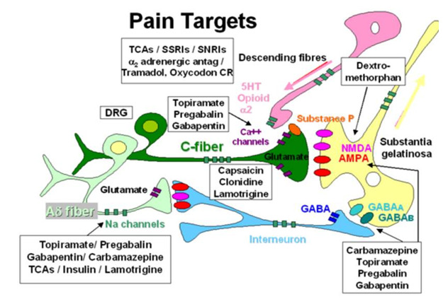 Figure 14. . Different mechanisms of pain and possible treatments.