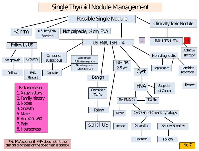Figure 18-4. Diagnostic sequence and therapeutic decisions in managing a patient with an apparent single nodule of the thyroid.