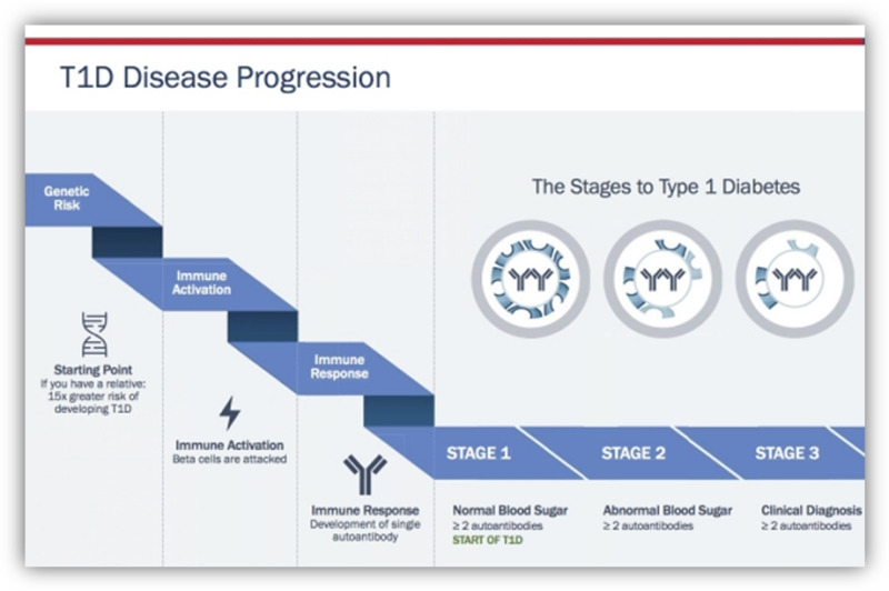 Figure 3. . New staging classification of Type 1 diabetes.