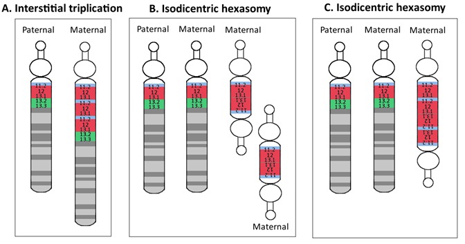 Figure 3. 