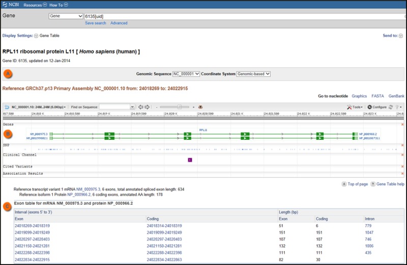 Figure 3. . Gene Table display.