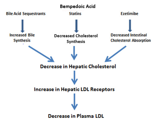Figure 1. . Mechanism for the Decrease in LDL Levels.