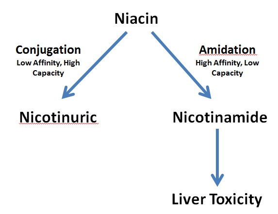 Figure 1. . Pathways of Niacin Metabolism.