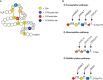 FIGURE 13.1.. Modifications of epidermal growth factor (EGF)-like repeats.