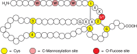 FIGURE 13.4.. Modifications of thrombospondin type-1 repeats (TSRs).