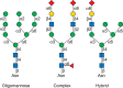 FIGURE 9.1.. Types of N-glycans.