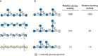 FIGURE 40.2.. (A) Oligosaccharide elicitors of the plant defense response.