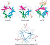 FIGURE 31.3.. Structures of the β-trefoil R-type domains in different proteins.
