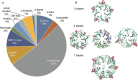 FIGURE 30.2.. (A) Distribution of the lectins with structures available in the 3D-Lectin database as a function of fold family.