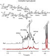 FIGURE 30.4.. Binding epitope identification in a complex-type glycan bound to the HIV-1 neutralizing antibody PG16 using saturation transfer difference (STD) information.