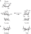 FIGURE 2.7.. Chair conformations.